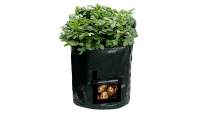 Plantepotter