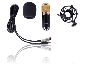 Ara X100 Mikrofon m/ Shock Mount & Vindhætte