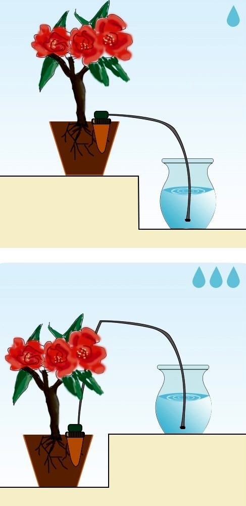 → 2 Stk. Selvvandere til Planter & Blomster | Gratis